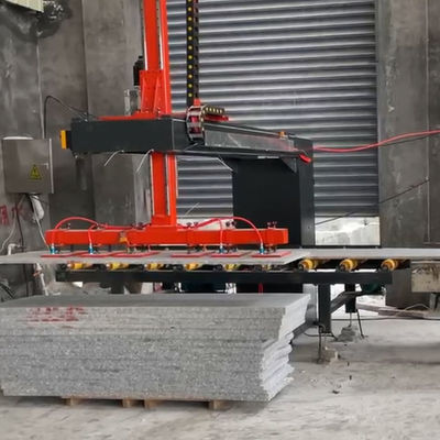 Robot Palletizing Programmable 2 Axis Aman Sistem Palletizing Robot